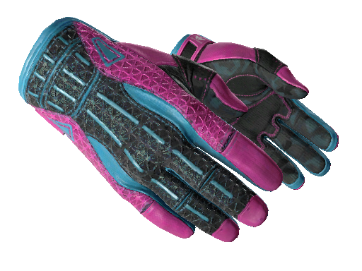 Sport Gloves